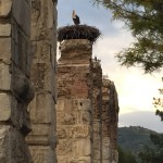 roman aqueduct in selçuk with storks nest atop