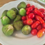 figs & tomatoes